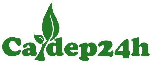 caydep24h.nguyenlan.com